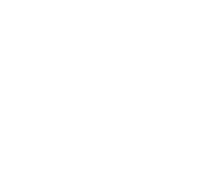 Dento Airport Study site Logo White